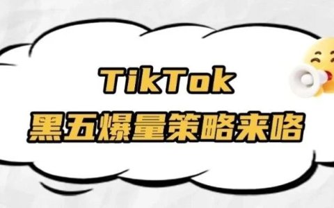 实战干货 | TikTok运营：TikTok黑五作战计划