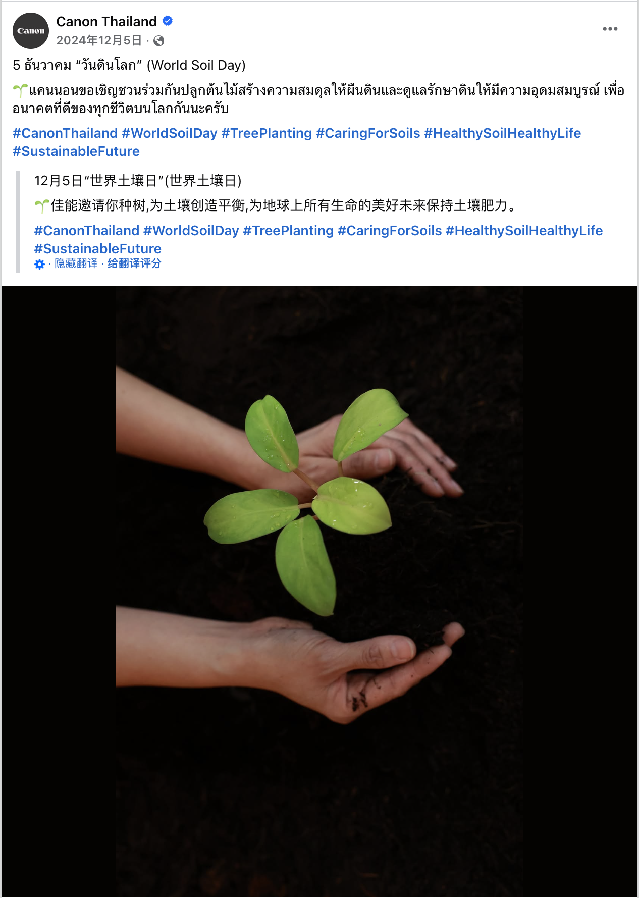 12月海外营销日历:圣诞节,跨年夜,国际山岳日,世界土壤日,国际残疾人日...