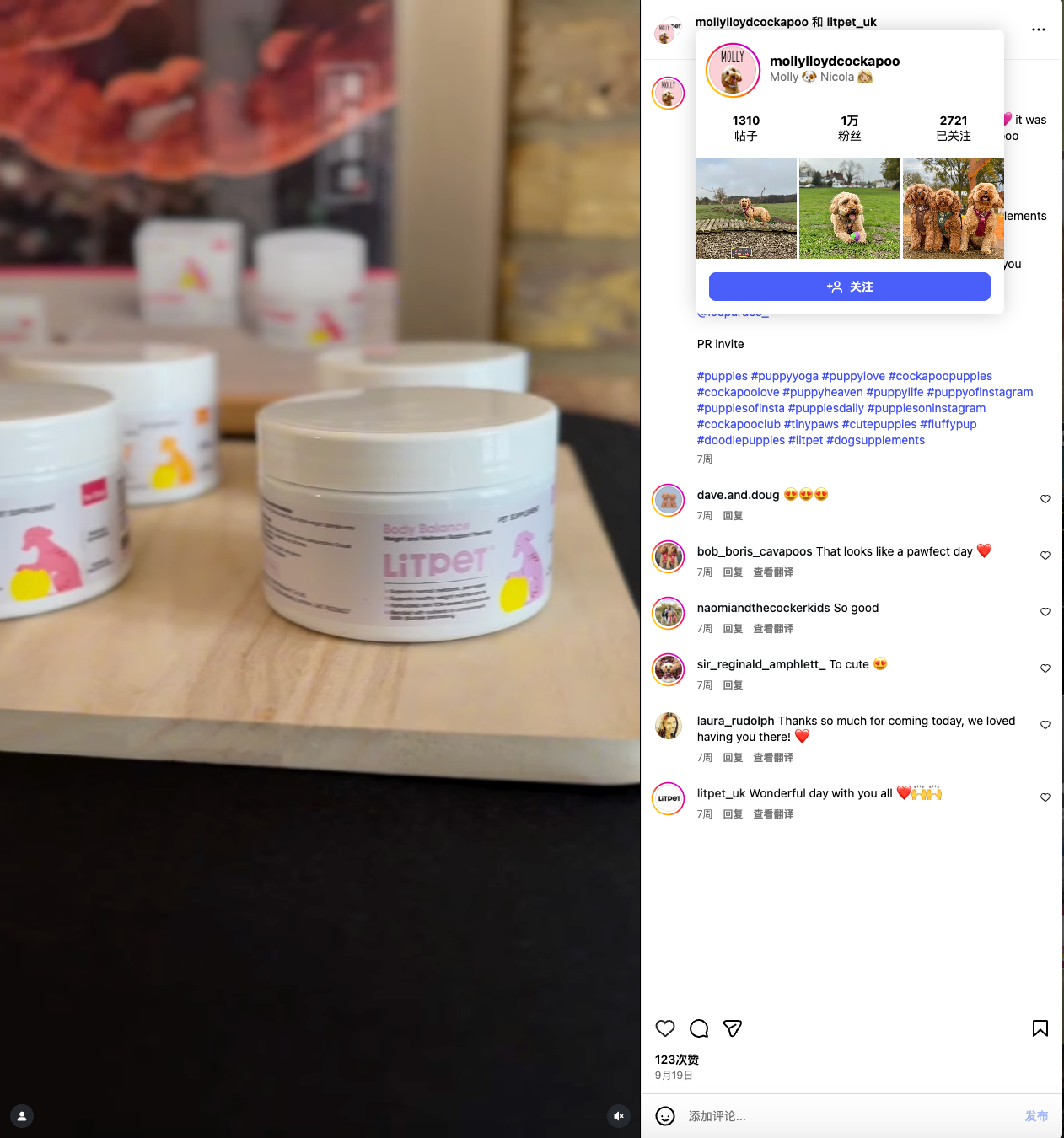 给老年宠物做“保健品”?这个中国品牌把中药卖到了欧洲