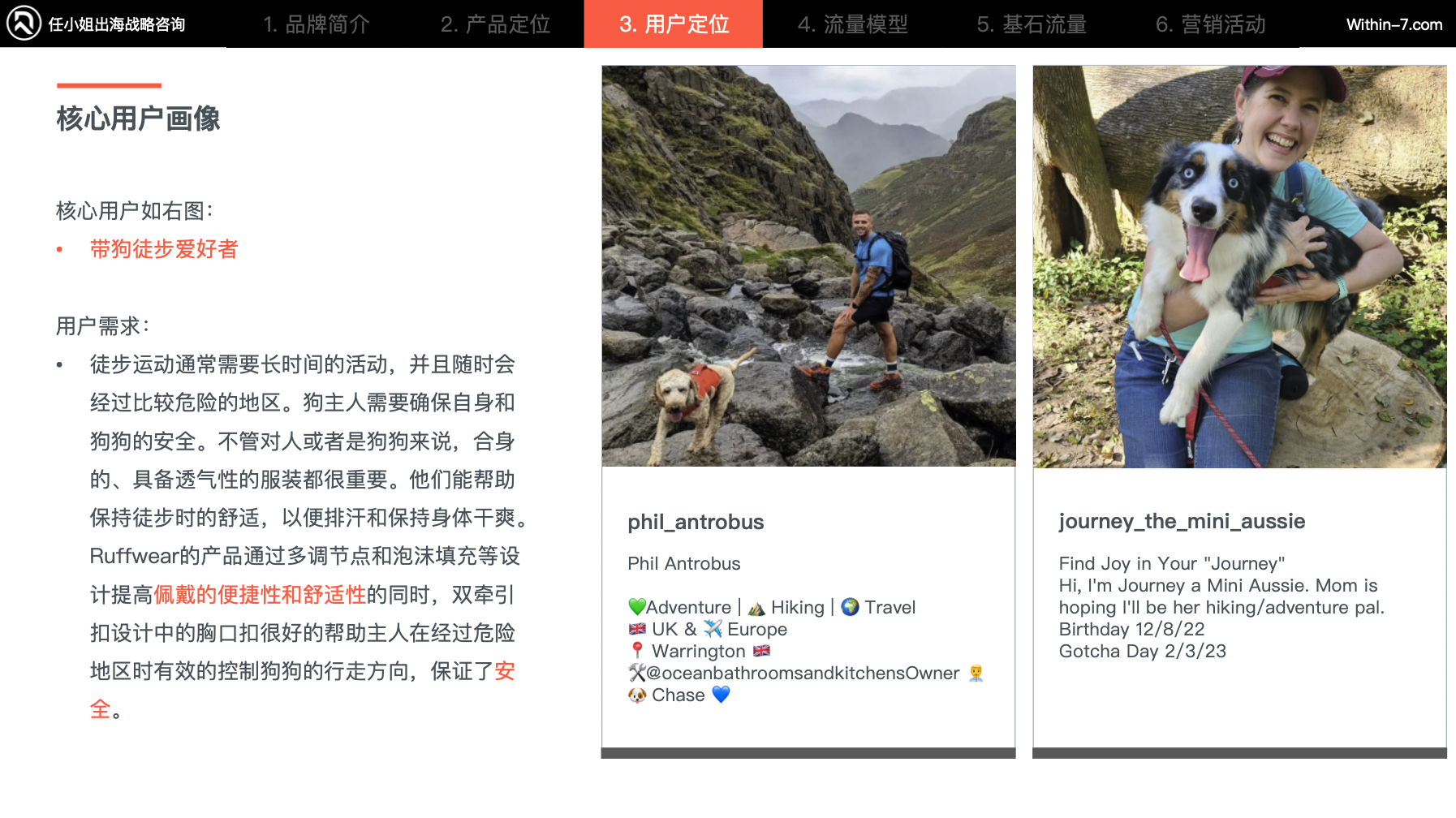 宠物市场真相:为什么别人能赚大钱,而你还在拼价格?|全球TOP宠物品牌拆解