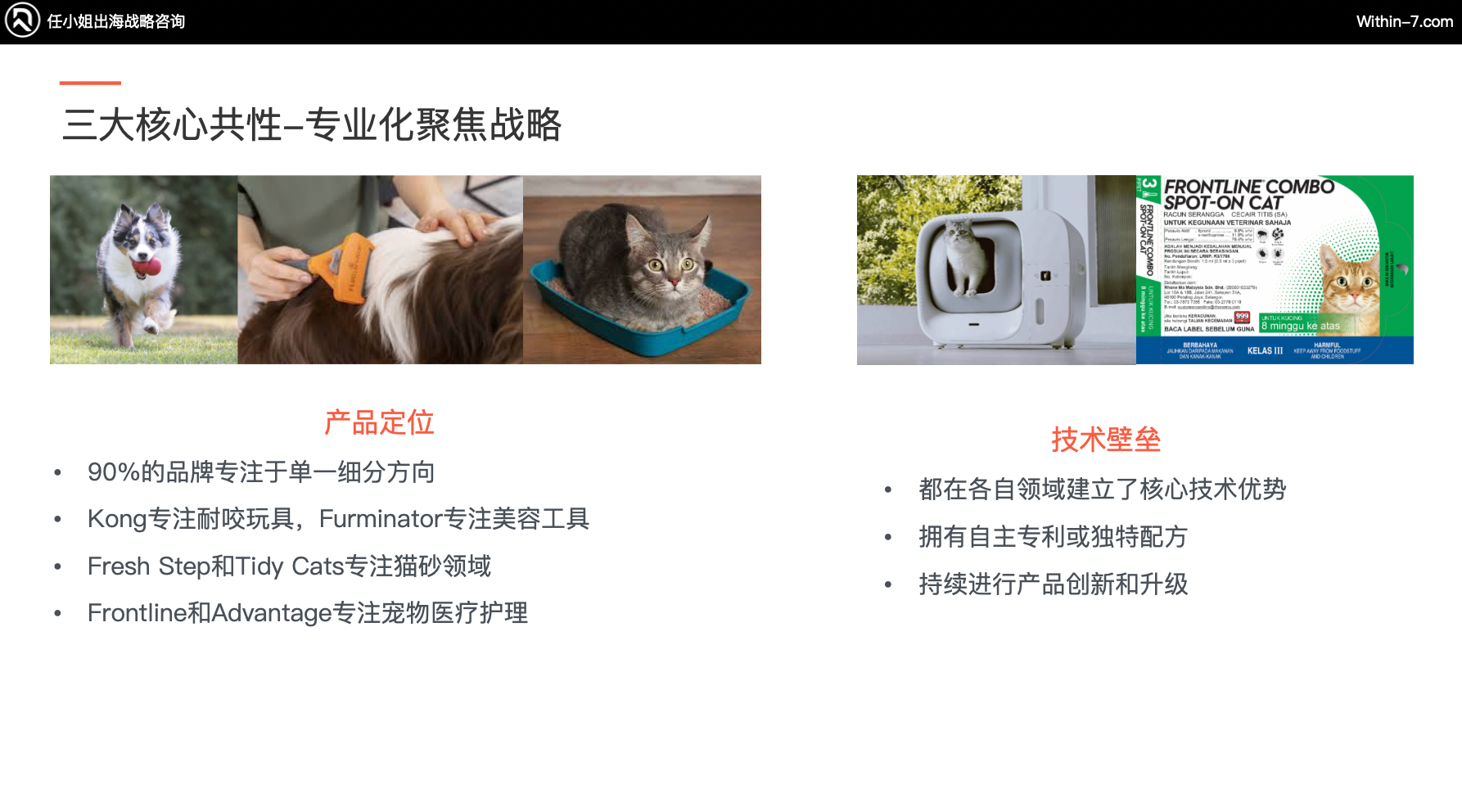 宠物市场真相:为什么别人能赚大钱,而你还在拼价格?|全球TOP宠物品牌拆解