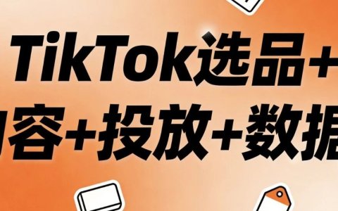 TikTok选品+内容+投放+数据！