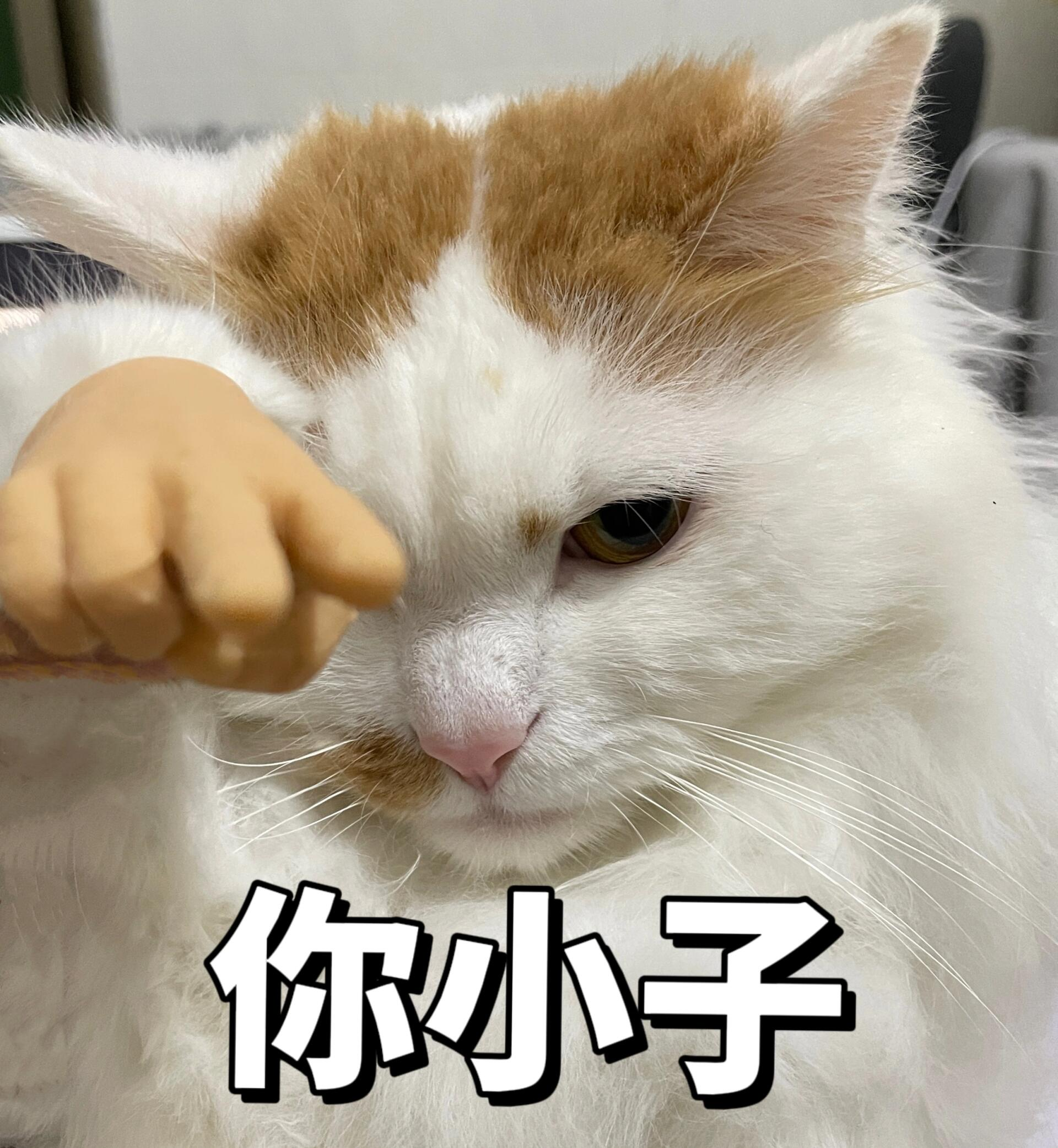 用SEO做一个有权重的网站需要多久?