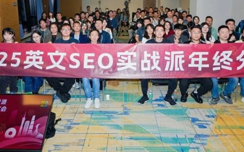 全中国最厉害的SEO洞察：无AI，做填空，小语种，挣慢钱，就是最好的搞钱路子