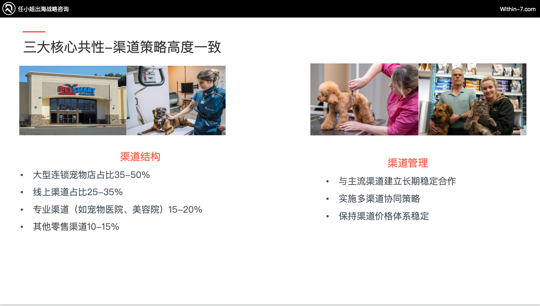 宠物市场真相:为什么别人能赚大钱,而你还在拼价格?|全球TOP宠物品牌拆解