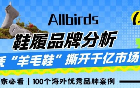 从硅谷爆款到上市神话：Allbirds 凭 “羊毛鞋” 撕开千亿市场，该怎么抄作业？