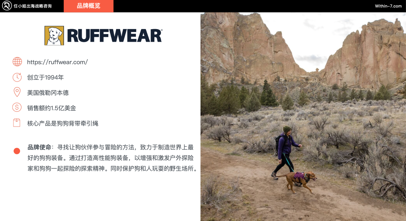 宠物市场真相:为什么别人能赚大钱,而你还在拼价格?|全球TOP宠物品牌拆解