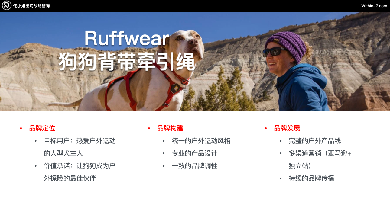 宠物市场真相:为什么别人能赚大钱,而你还在拼价格?|全球TOP宠物品牌拆解