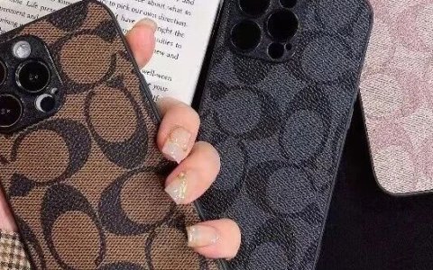 7700万播放炸场！TikTok卖家靠颜值手机壳狂揽700万