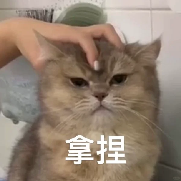 实战干货 | TikTok运营:TikTok商家选品打品全攻略