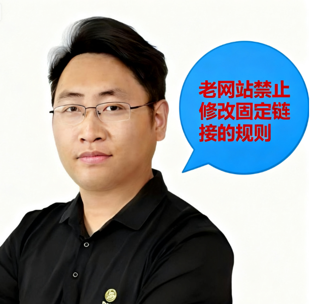 SEO翻译插件的天坑,独立站流量一夜归零的原因