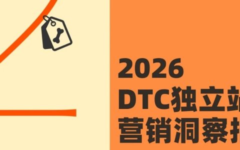 《2026全球独立站营销洞察报告》解读：流量在哪里，机会就在哪里