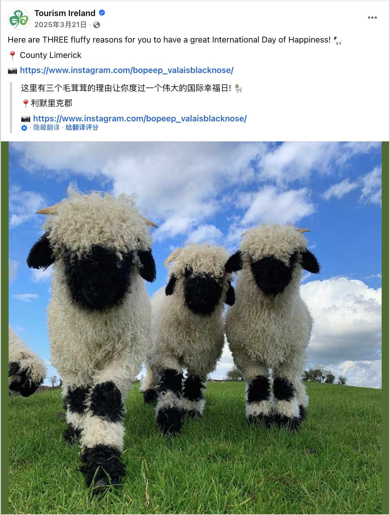 3月海外营销日历:国际妇女节,开斋节,洒红节,国际幸福日,世界水日...