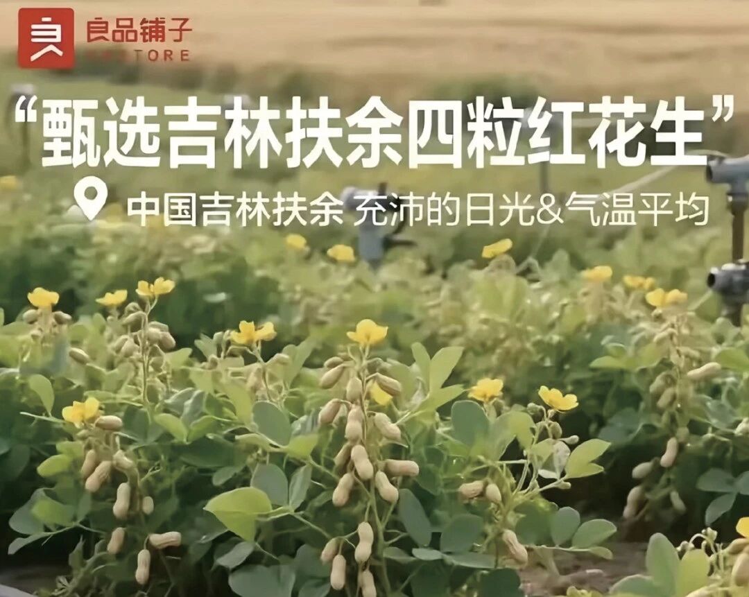 2026年,生成式AI如何赋能品牌叙事?