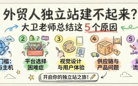 外贸人独立站建不起来？大卫老师总结这 5 个原因