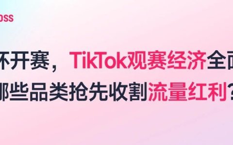世界杯开赛，TikTok 观赛经济全面升温：哪些品类抢先收割流量红利？