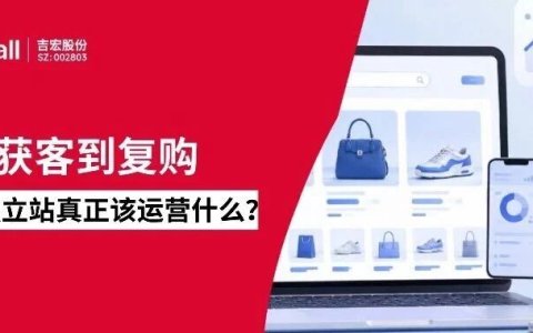 从获客到复购：品牌独立站真正该运营什么？