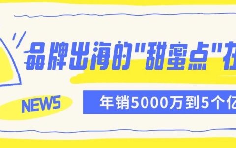 年销5000万到5个亿：不同体量跨境企业的品牌出海策略