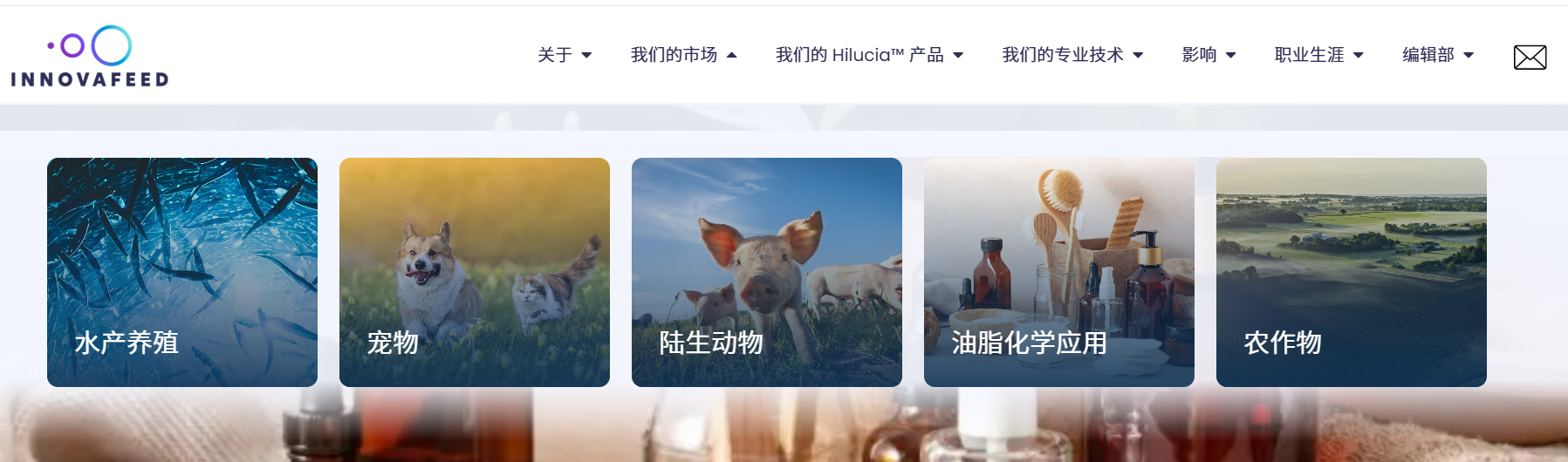3人创业再获近4亿融资,把昆虫宠物食品全球商业化