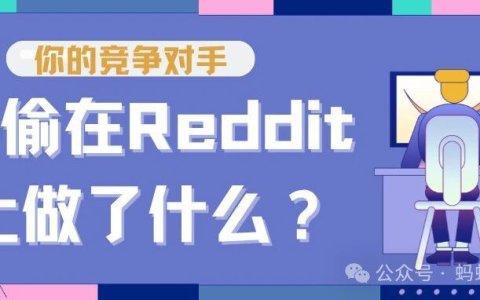 45.8%的流量来自Reddit？竞争对手偷偷做了什么？