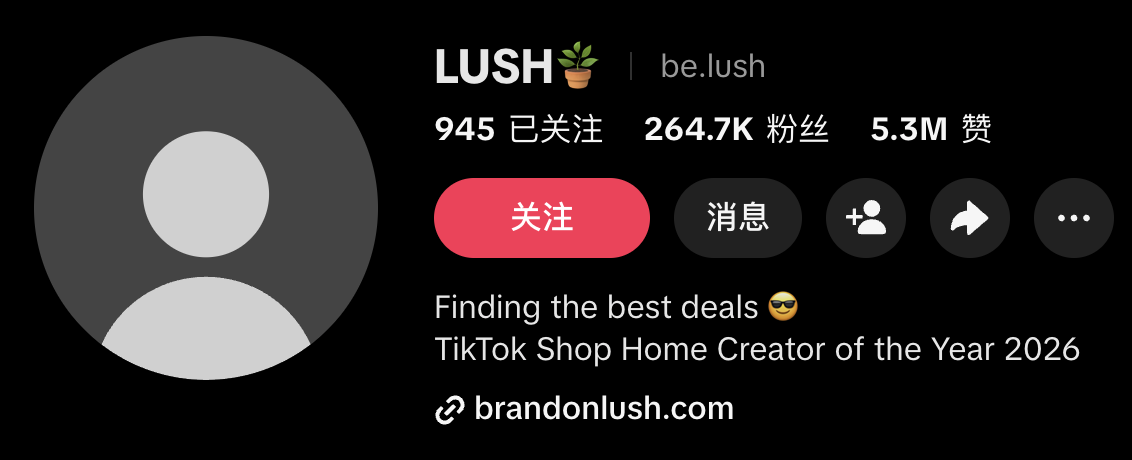 大卖制冰机品牌合作海外红人盘点