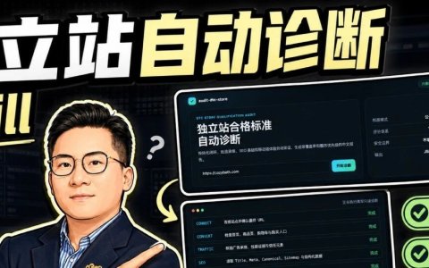 独立站能不能投流？让 AI 先跑一遍自动体检