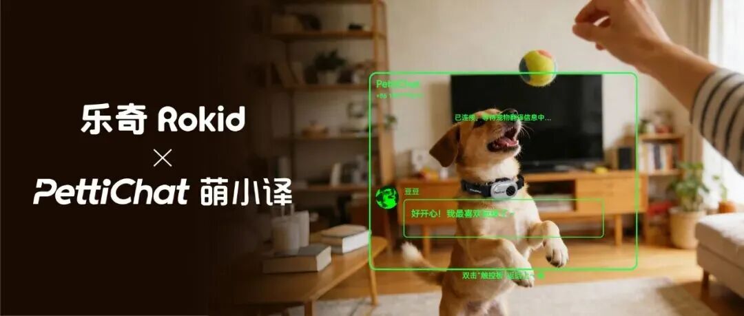 浙大博士出海创业，靠卖宠物翻译器1个半月收入超1000万