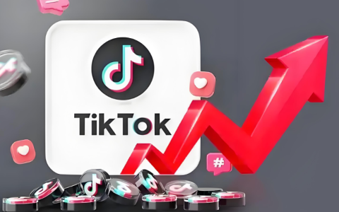 TikTok开店费用明细(附TikTok保证金一览表) | 零壹电商