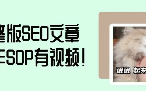 完整版SEO文章撰写SOP！新手零基础也能快速上手