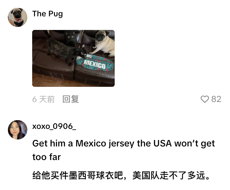 7天暴涨17770%,世界杯带火一款宠物球衣!评论区成了球迷战场