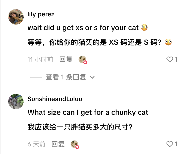 7天暴涨17770%,世界杯带火一款宠物球衣!评论区成了球迷战场