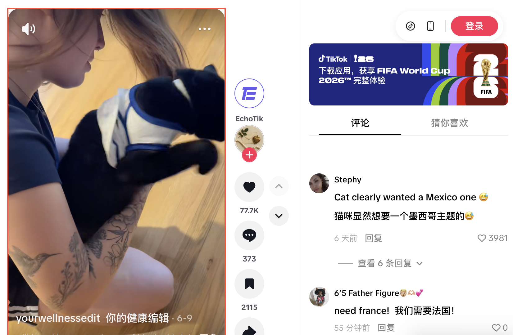 7天暴涨17770%,世界杯带火一款宠物球衣!评论区成了球迷战场