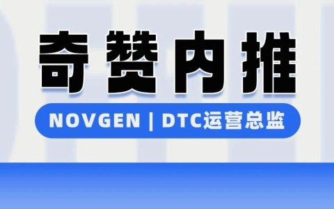 【奇赞内推】NOVGEN | 智能储能品牌-DTC运营总监