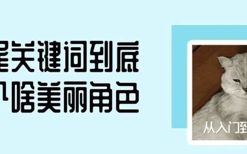 什么是长尾词？如何挖掘长尾关键词？