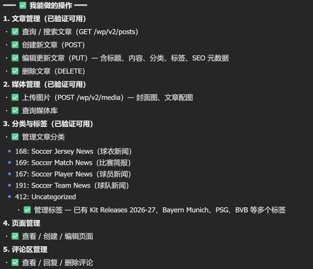 做跨境独立站Ai agent能做什么