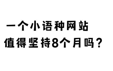 一个小语种网站，值得坚持8个月吗？