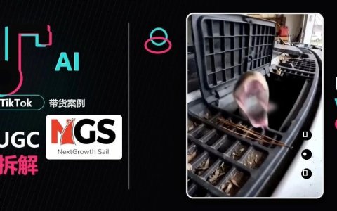一条30秒AI+UGC视频，卖出了30万美金，凭啥?
