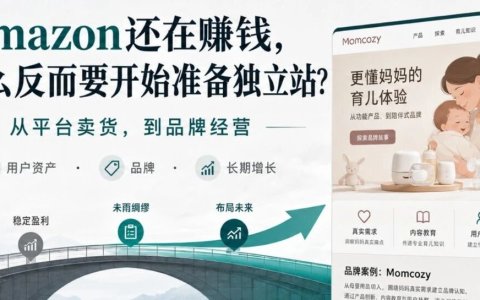 《Amazon还在赚钱，为什么仍要准备独立站？》