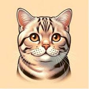 鸿烈公子的头像