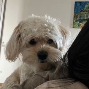 BarefootVivi的头像