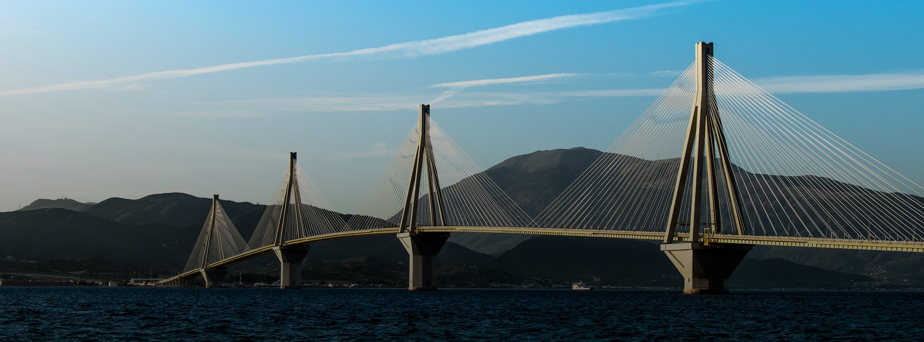 InBridge品牌出海